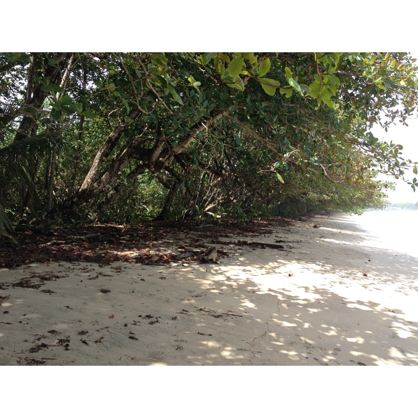 照片 哥斯达黎加(Costa Rica) 卡维塔(Cahuita) 2015-03 183