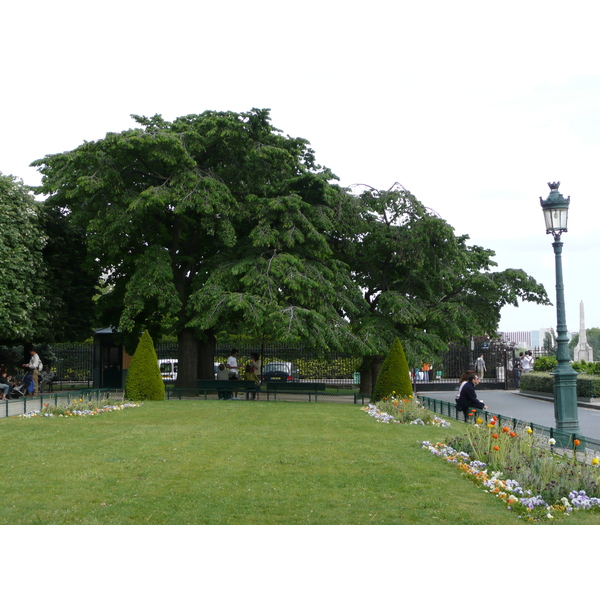 照片 法国(France) 巴黎(Paris) 巴黎圣母院(Notre Dame) 2007-05 70