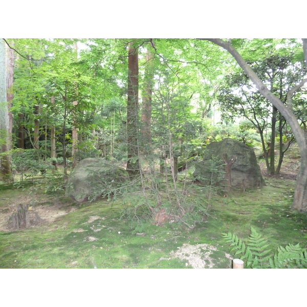 照片 日本(Japan) 京都(Kyoto) 龙安寺(Ryoanji Temple) 2010-06 35