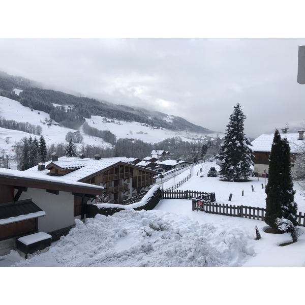 照片 法国(France) 阿尔利河畔普拉(Praz sur Arly) 2019-12 269