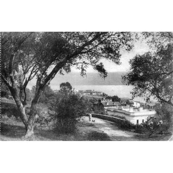 照片 法国(France) 科西嘉岛(Corsica) 老明信片(Old Postcards) 1900-01 291