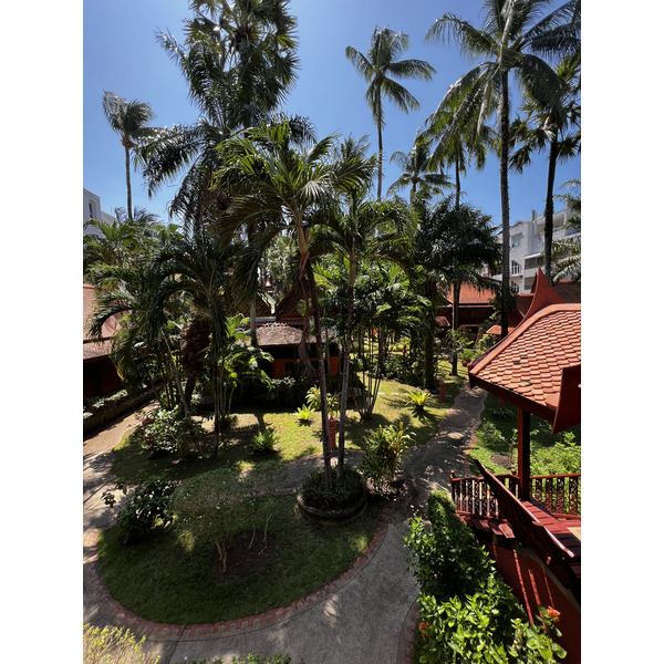 照片 泰国(Thailand) 普吉岛(Phuket) 芭东(Patong) 皇家帕瓦迪村酒店(Royal Phawadee Village Hotel) 2021-12 99