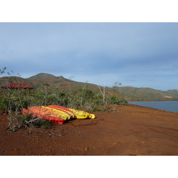 照片 新喀里多尼亚(New Caledonia) 蓝河公园(Parc de la Riviere Bleue) 2010-05 87