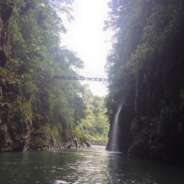 照片 哥斯达黎加(Costa Rica) 帕夸雷河(Pacuare River) 2015-03 170