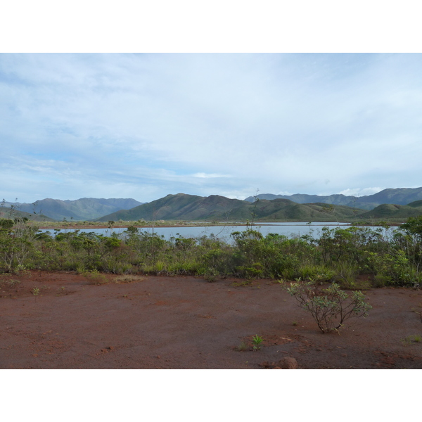 照片 新喀里多尼亚(New Caledonia) 蓝河公园(Parc de la Riviere Bleue) 2010-05 106