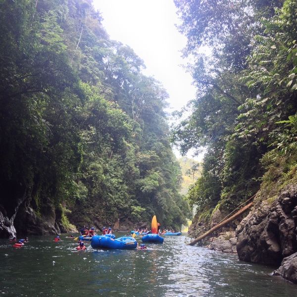 照片 哥斯达黎加(Costa Rica) 帕夸雷河(Pacuare River) 2015-03 83