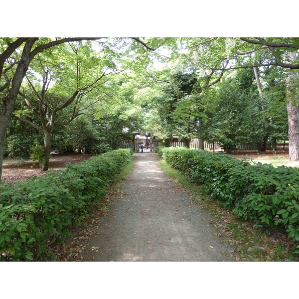 照片 日本(Japan) 京都(Kyoto) 京都御苑(Kyoto Gyoen Garden) 2010-06 45