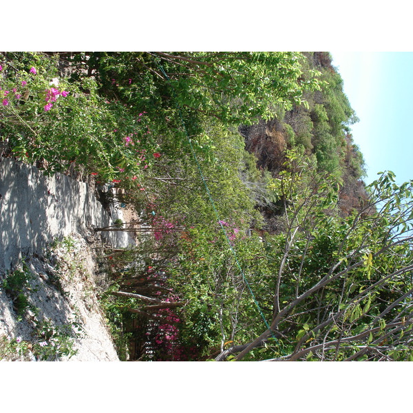 照片 泰国(Thailand) 芭提雅(Pattaya) 格兰岛(Ko Larn) 2006-04 42