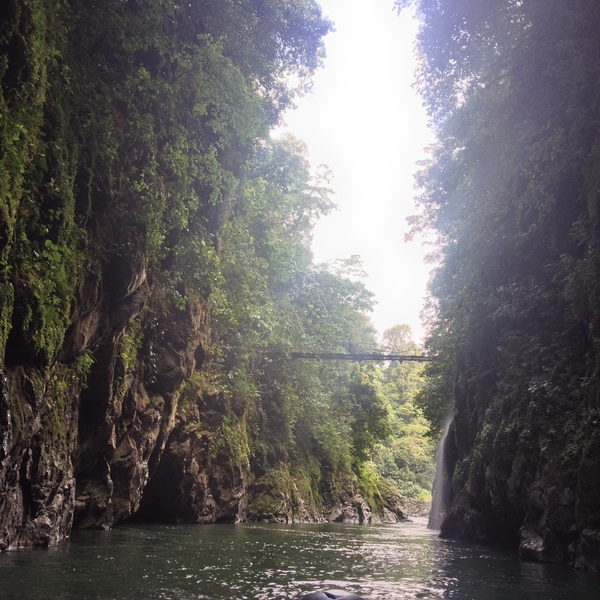 照片 哥斯达黎加(Costa Rica) 帕夸雷河(Pacuare River) 2015-03 171