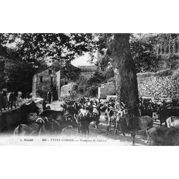 照片 法国(France) 科西嘉岛(Corsica) 老明信片(Old Postcards) 1900-01 23