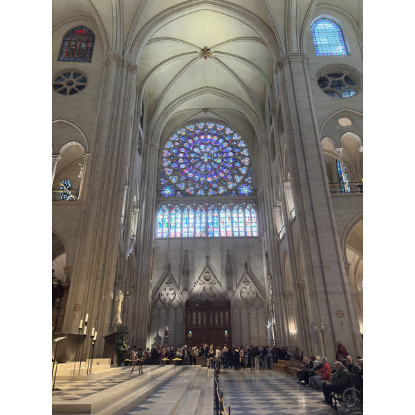 照片 法国(France) 巴黎(Paris) 巴黎圣母院(Notre Dame) 2025-03 10