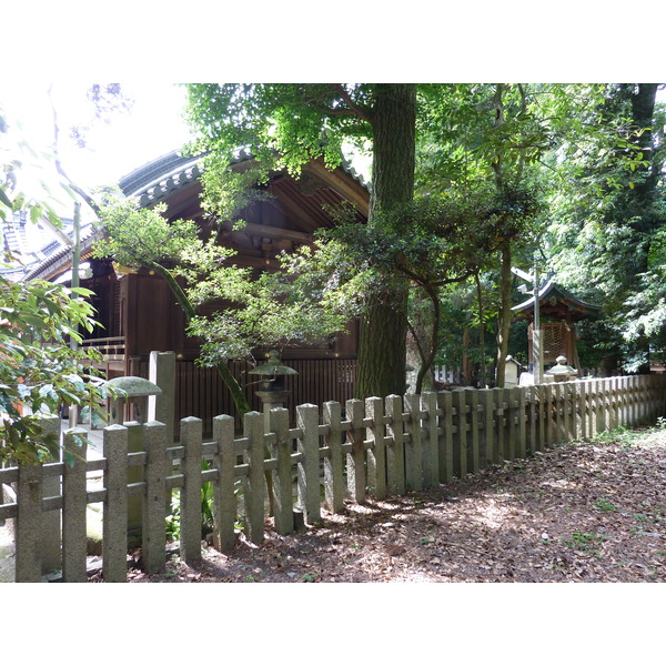 照片 日本(Japan) 京都(Kyoto) 京都御苑(Kyoto Gyoen Garden) 2010-06 25