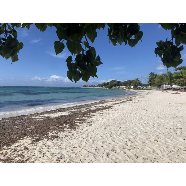 照片 瓜德罗普(Guadeloupe) 圣弗朗索瓦(Saint Francois) 2021-02 55