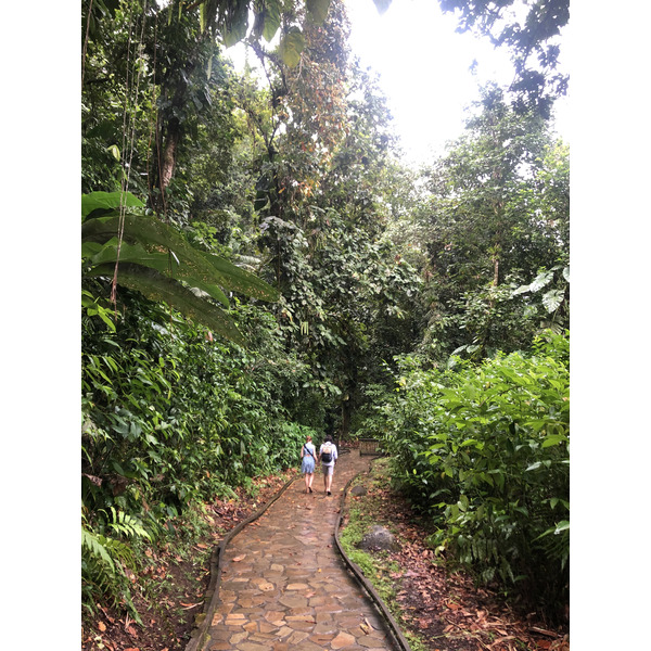 照片 瓜德罗普(Guadeloupe) 螯虾瀑布(Cascade aux ecrevisses) 2021-02 12