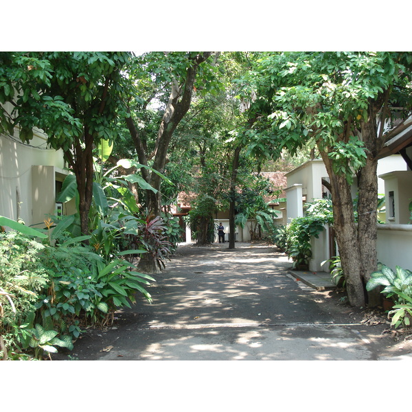 照片 泰国(Thailand) 清迈(Chiang Mai) 护城河内(Inside Canal) 拉查丹嫩路（步行街）(Rad Cha Dom Nurn (Walking Street)) 2006-04 24