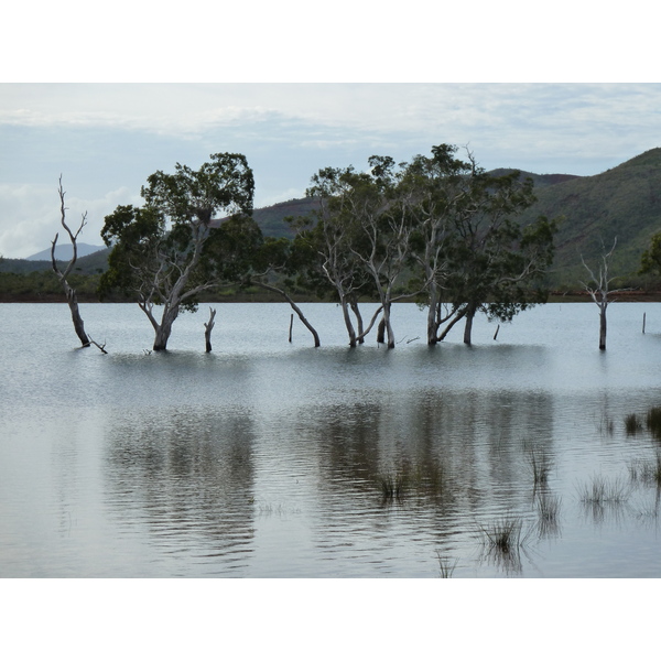照片 新喀里多尼亚(New Caledonia) 蓝河公园(Parc de la Riviere Bleue) 2010-05 45