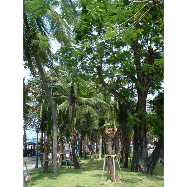 照片 泰国(Thailand) 芭提雅海滩(Pattaya Beach) 2007-02 198