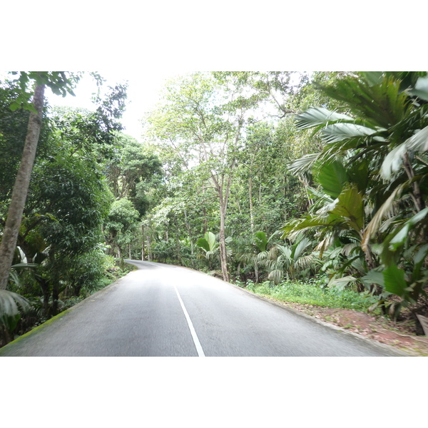 照片 塞舌尔(Seychelles) 五月谷(Vallee de Mai) 2011-10 56
