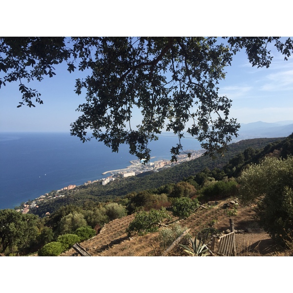 照片 法国(France) 科西嘉岛(Corsica) 圣马蒂诺-迪洛塔(San Martino di Lota) 2017-09 1