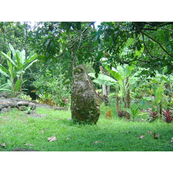 照片 波利尼西亚(Polynesia) 马克萨斯群岛(Marquises) 2006-04 118