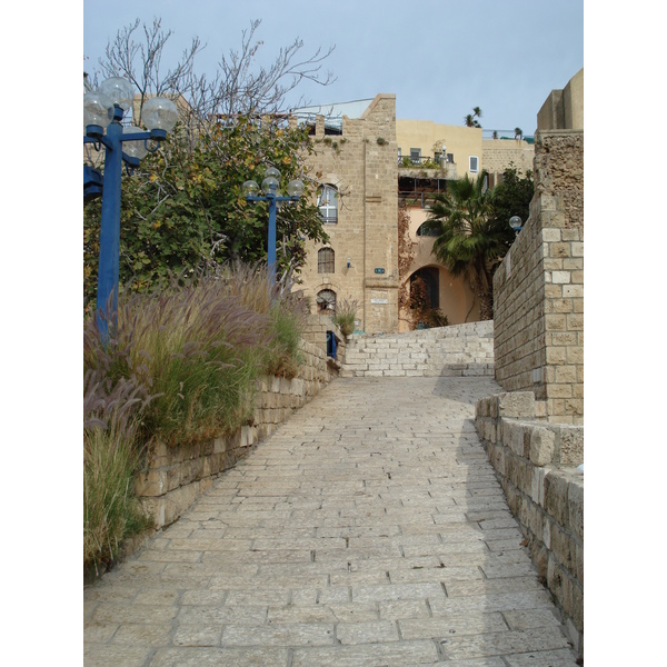 照片 以色列(Israel) 雅法(Jaffa) 2006-12 210