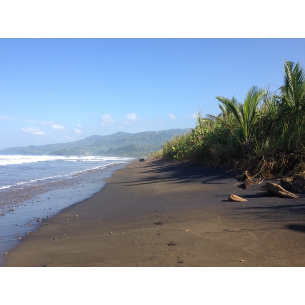 照片 哥斯达黎加(Costa Rica) 乌维塔(Uvita) 2015-03 20