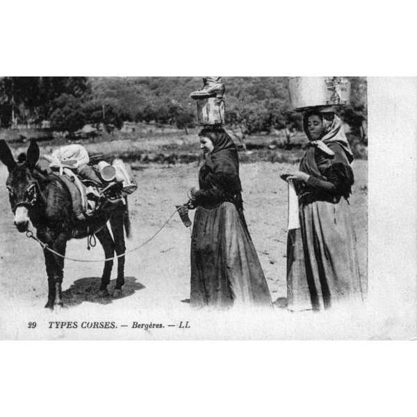 照片 法国(France) 科西嘉岛(Corsica) 老明信片(Old Postcards) 1900-01 295