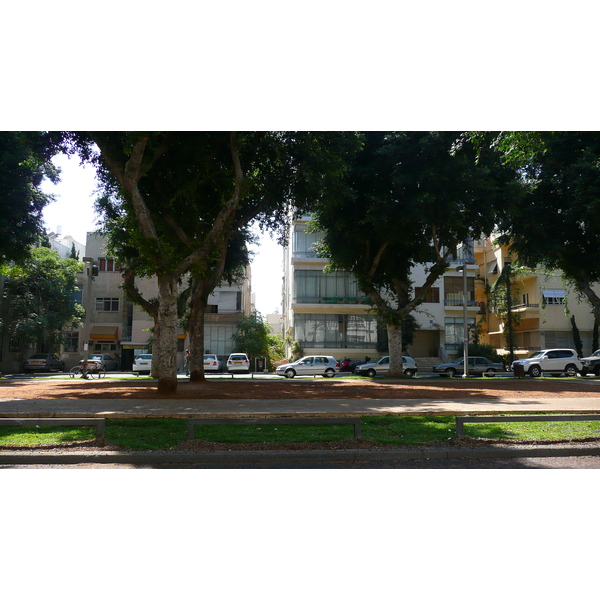 照片 以色列(Israel) 特拉维夫(Tel Aviv) 罗斯柴尔德大道(Rothschild Street) 2007-06 34