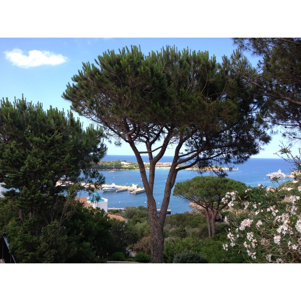 照片 意大利(Italy) 撒丁岛(Sardinia) 切尔沃港(Porto Cervo) 2015-06 47