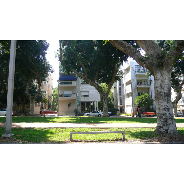 照片 以色列(Israel) 特拉维夫(Tel Aviv) 罗斯柴尔德大道(Rothschild Street) 2007-06 30