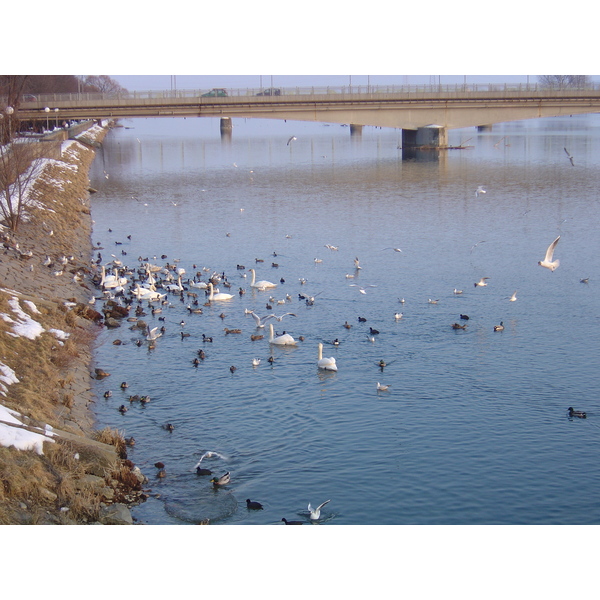 照片 斯洛文尼亚(Slovenia) 普图伊(Ptuj) 2005-03 8