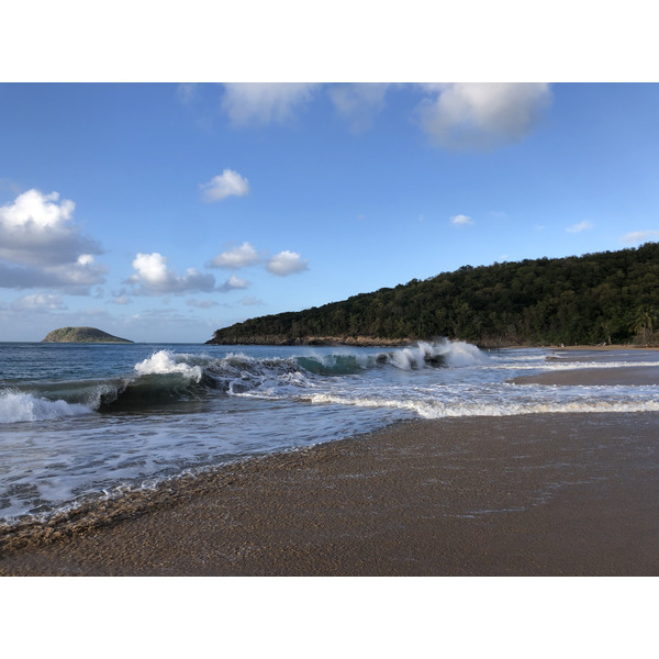 照片 瓜德罗普(Guadeloupe) 珍珠海滩(La Perle Beach) 2021-02 29