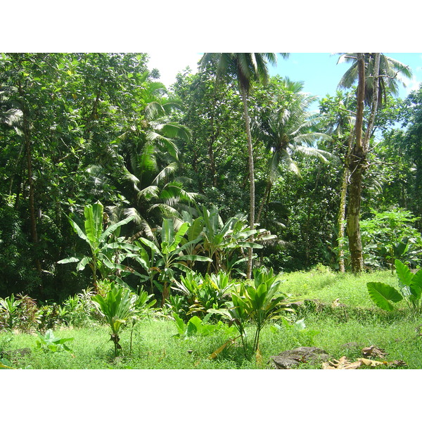 照片 波利尼西亚(Polynesia) 马克萨斯群岛(Marquises) 2006-04 117
