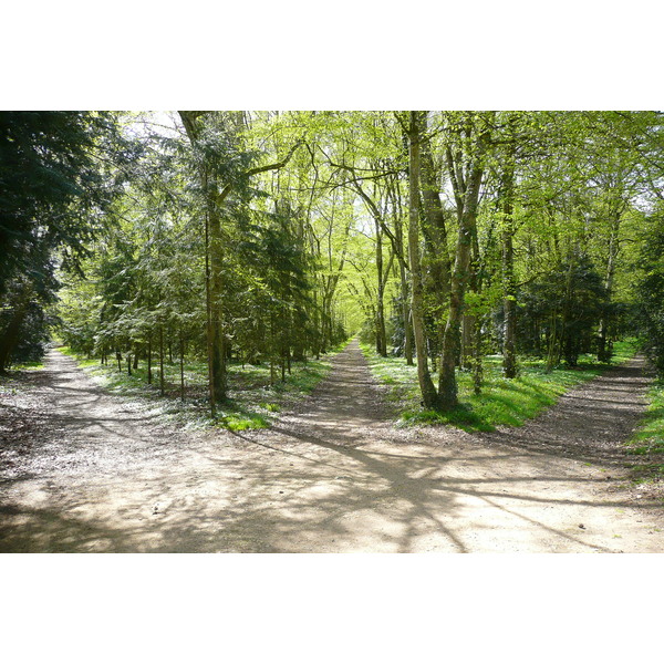 照片 法国(France) 舍农索城堡(Chenonceau Castle) 舍农索城堡花园(Gardens of Chenonceau) 2008-04 54