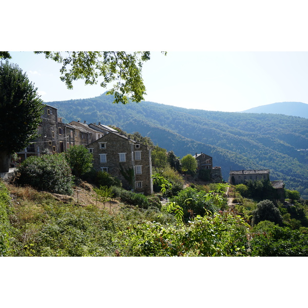 照片 法国(France) 科西嘉岛(Corsica) 费拉贾(Ferlaggia) 2017-09 21