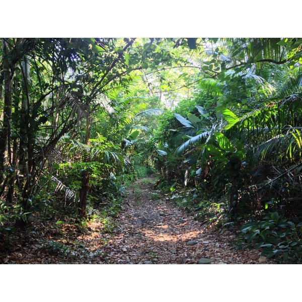 照片 哥斯达黎加(Costa Rica) 乌维塔(Uvita) 2015-03 6