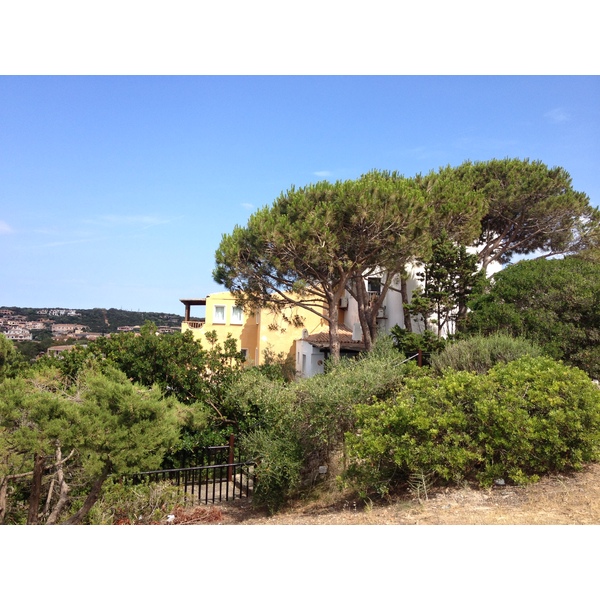 照片 意大利(Italy) 撒丁岛(Sardinia) 切尔沃港(Porto Cervo) 2015-06 6