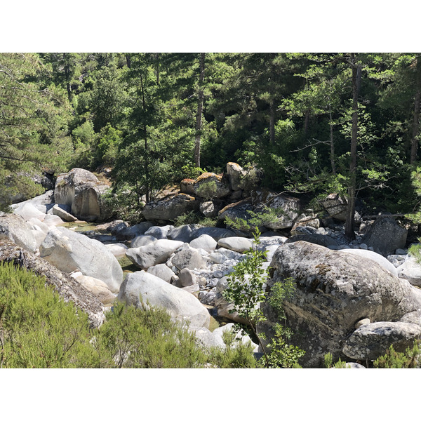 照片 法国(France) 科西嘉岛(Corsica) 雷斯托尼卡山谷(La Restonica) 2020-07 138
