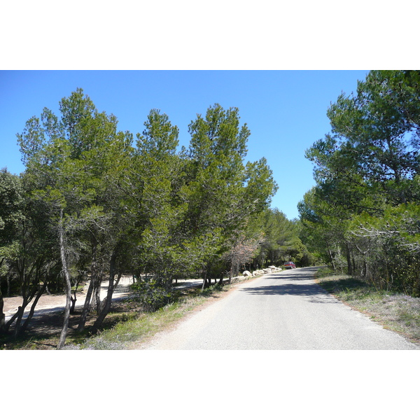 照片 法国(France) 普罗旺斯(Provence) 博凯尔至加尔桥公路(Beaucaire to pont du gard road) 2008-04 10