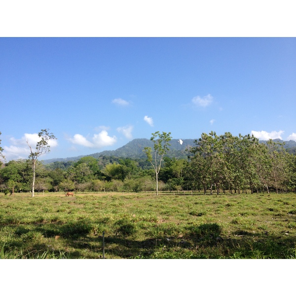照片 哥斯达黎加(Costa Rica) 乌维塔(Uvita) 2015-03 18