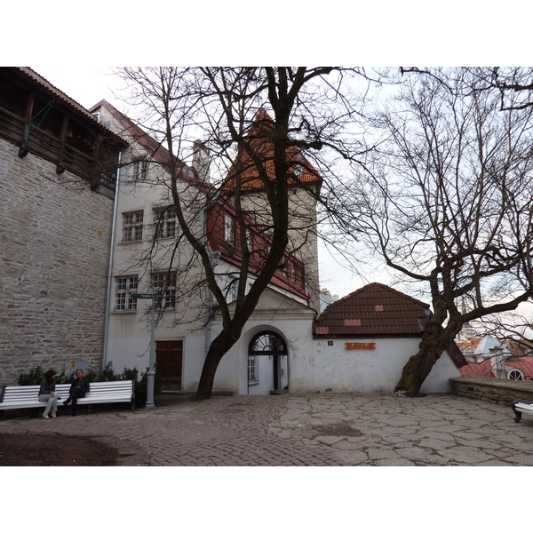 照片 爱沙尼亚(Estonia) 塔林(Tallinn) 塔林老城(Old Tallinn) 2009-04 28