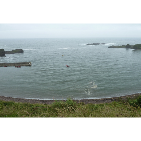 照片 英国(United Kingdom) 苏格兰(Scotland) 卡特林湾(Catterline Bay) 2011-07 2