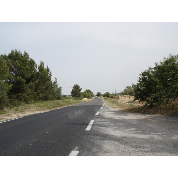 照片 法国(France) 索米耶尔(Sommieres) 2006-06 90