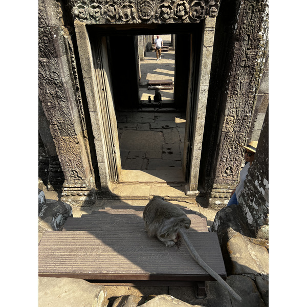 照片 柬埔寨(Cambodia) 暹粒(Siem Reap) 巴戎寺(Bayon) 2023-01 109