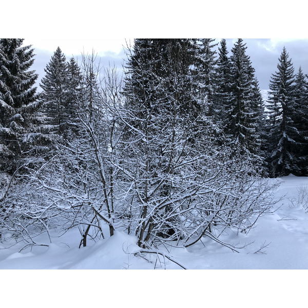 照片 法国(France) 拉克吕萨(La Clusaz) 2017-12 42