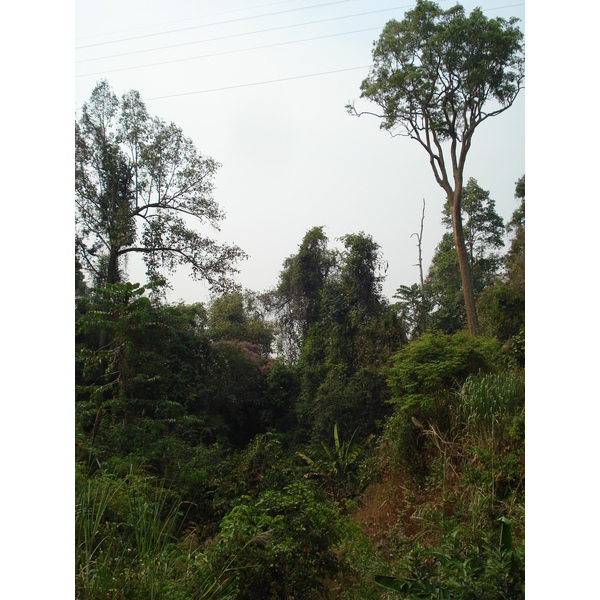 照片 泰国(Thailand) 清迈至拜县公路(Chiang Mai to Pai road) 2007-02 54