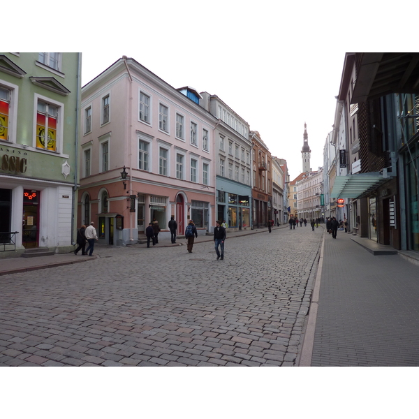 照片 爱沙尼亚(Estonia) 塔林(Tallinn) 塔林老城(Old Tallinn) 2009-04 77
