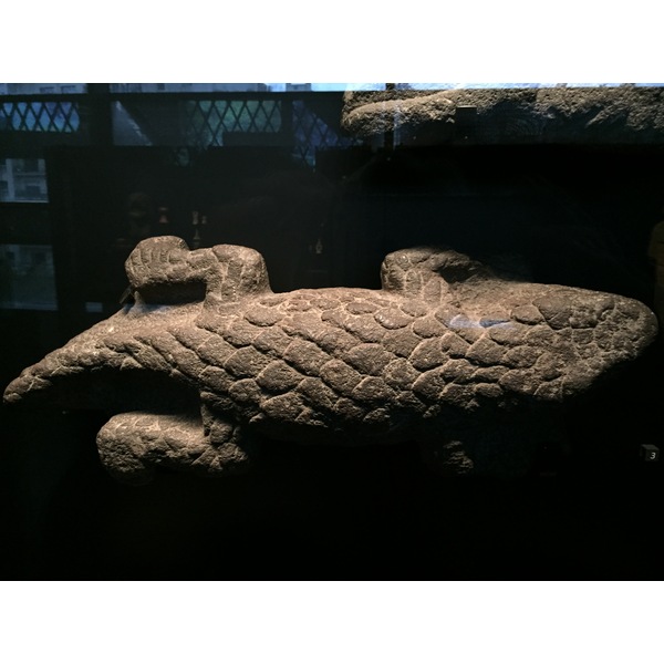 照片 法国(France) 巴黎(Paris) 布朗利河岸博物馆(Quai Branly Museum) 2015-09 7