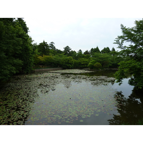 照片 日本(Japan) 京都(Kyoto) 龙安寺(Ryoanji Temple) 2010-06 17