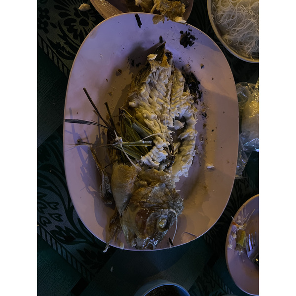 照片 泰国(Thailand) 芭提雅(Pattaya) 2023-01 72